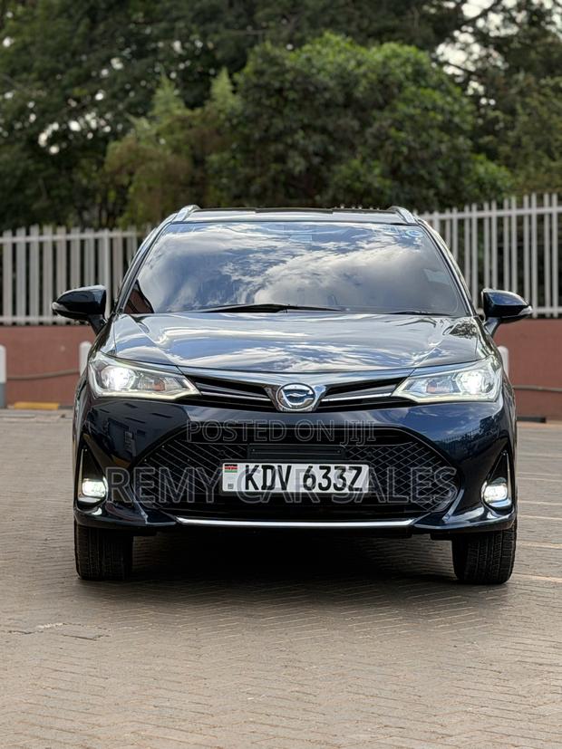 Toyota Corolla Fielder 2019 Burgundy