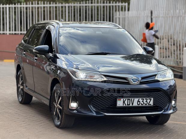 Toyota Corolla Fielder 2019 Burgundy