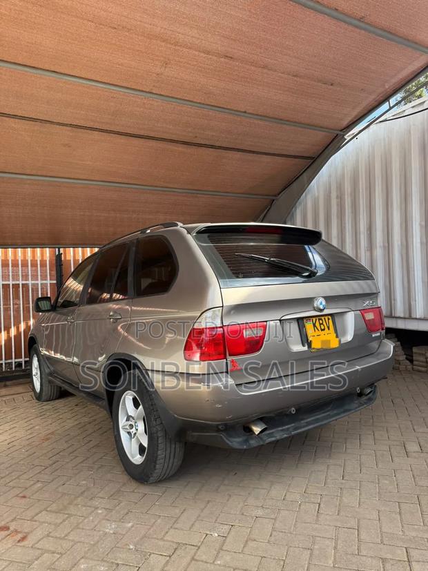 BMW X5 3.0i Activity Automatic 2007 Gray