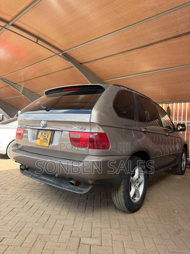BMW X5 3.0i Activity Automatic 2007 Gray