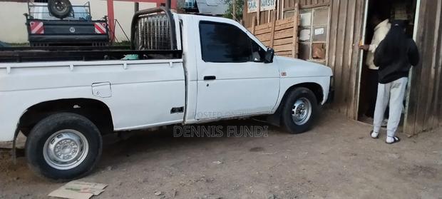 Nissan Hardbody 1999 White