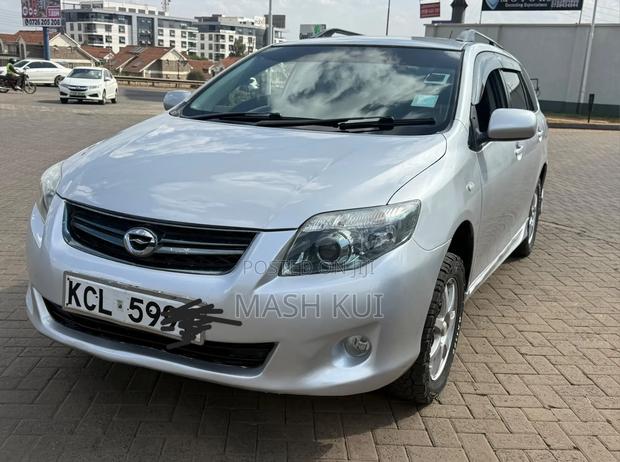 Toyota Corolla Fielder 2010 Silver