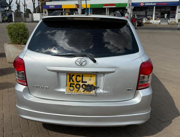 Toyota Corolla Fielder 2010 Silver