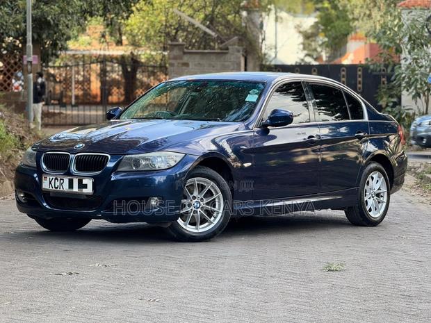 BMW 320i Sedan RWD 2011 Blue
