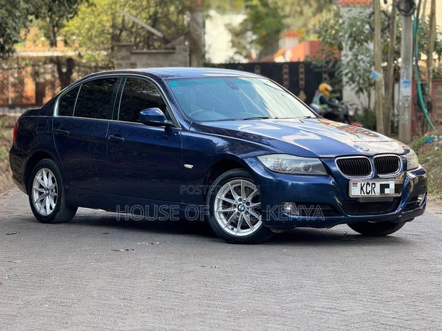 BMW 320i Sedan RWD 2011 Blue