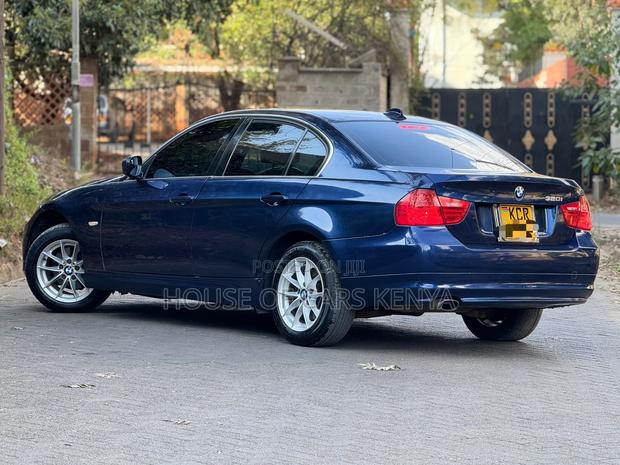 BMW 320i Sedan RWD 2011 Blue