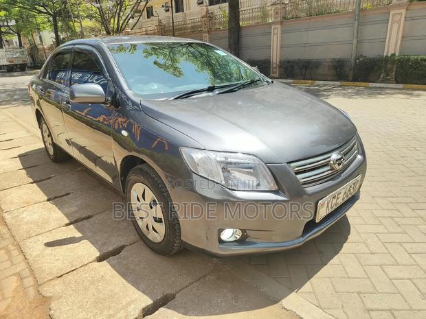 Toyota Axio 1.5 G 2WD 2009 Gray