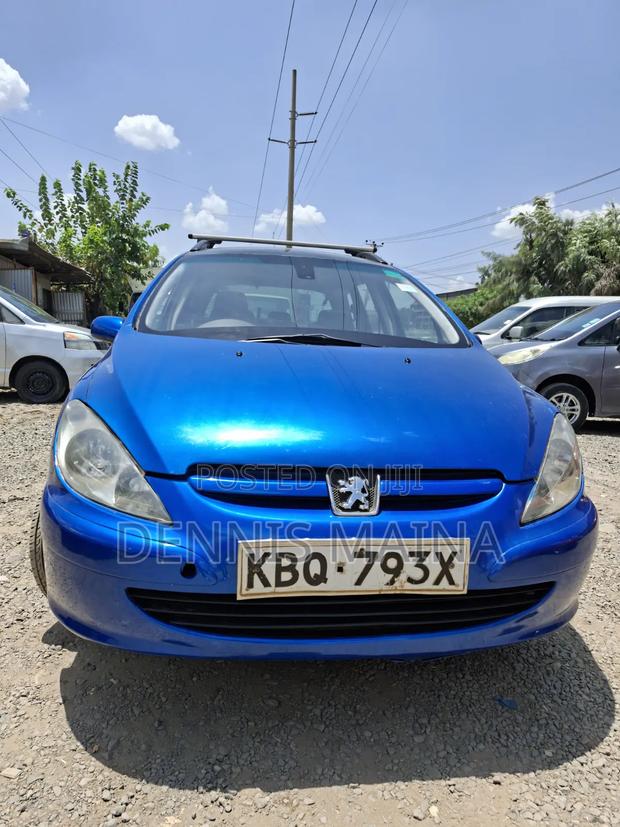 Peugeot 307 1.4 2004 Blue