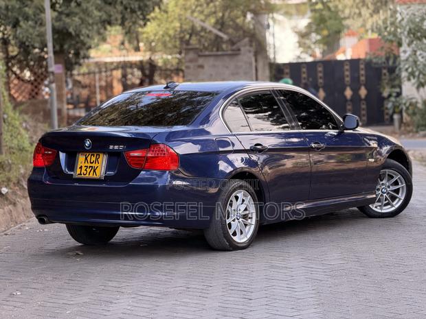 BMW 320i Sedan RWD 2011 Blue