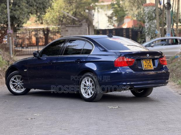 BMW 320i Sedan RWD 2011 Blue