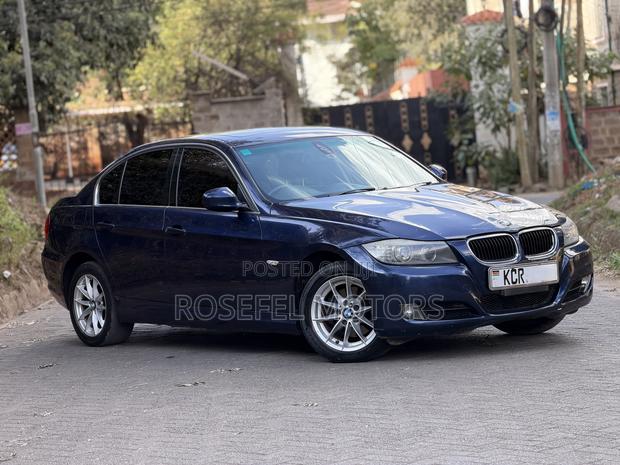 BMW 320i Sedan RWD 2011 Blue