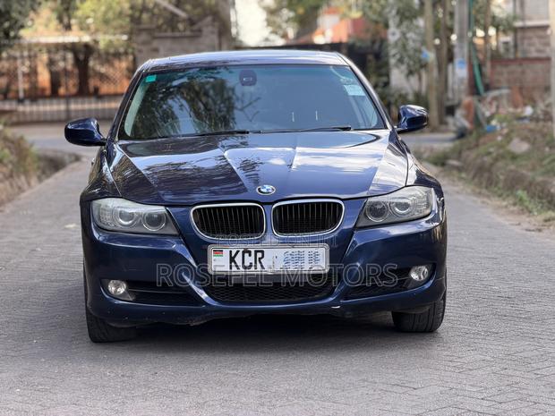BMW 320i Sedan RWD 2011 Blue