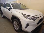 Toyota RAV4 LE FWD 2020 White for sale