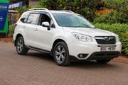 Subaru Forester 2014 White for sale