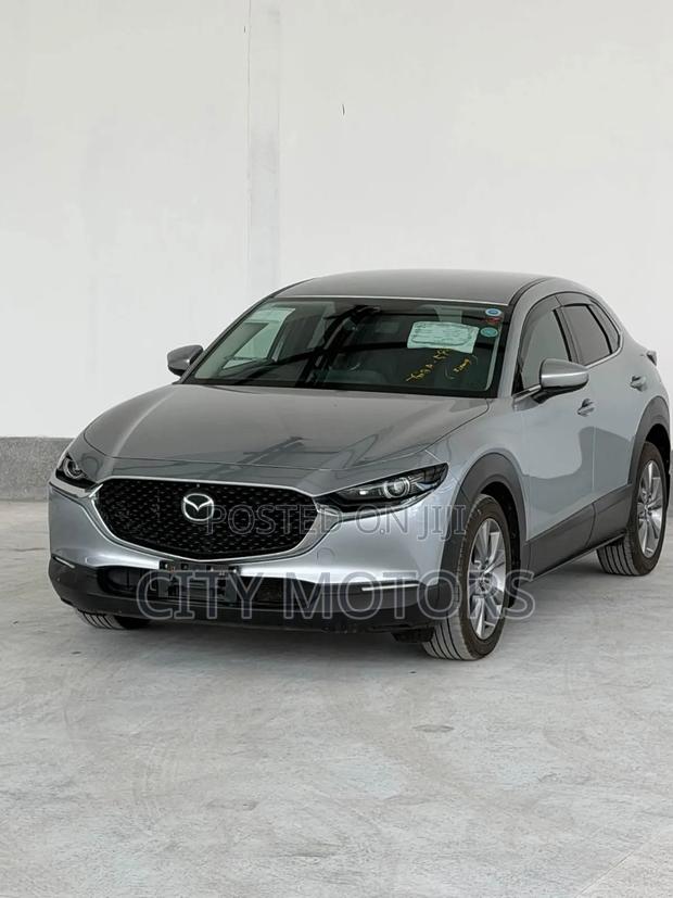 Mazda CX-30 2020 Silver