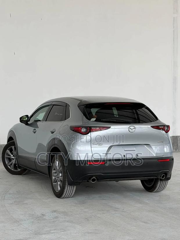 Mazda CX-30 2020 Silver