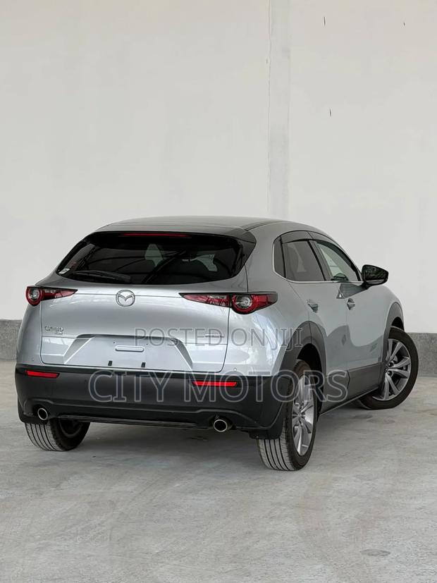 Mazda CX-30 2020 Silver