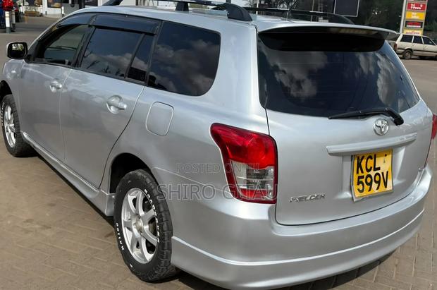 Toyota Corolla Fielder 2010 Silver