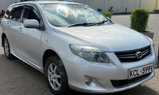 Toyota Corolla Fielder 2010 Silver