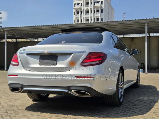 Mercedes-Benz E250 2019 Silver