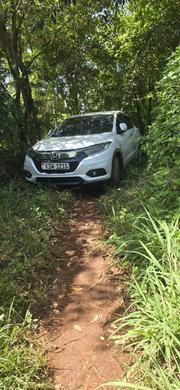 Honda Vezel 1.5 2WD 2019 Pearl for sale