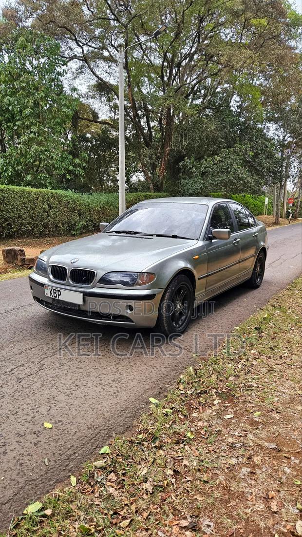BMW 318i 2004 Gray