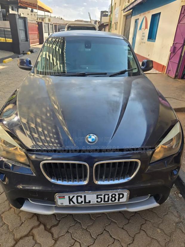BMW X1 2011 Blue