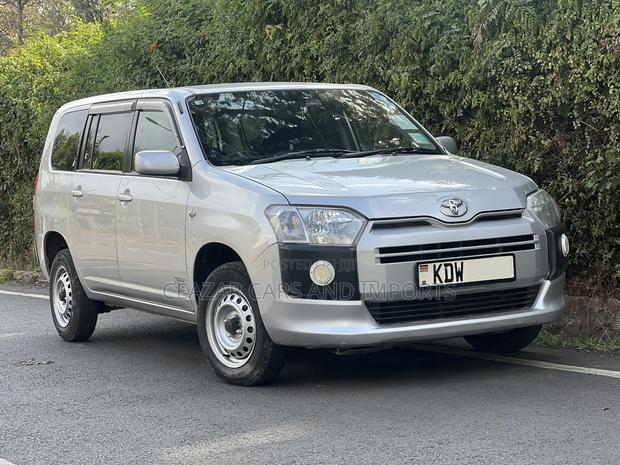 Toyota Probox 1.3 DX Comfort 2WD 2019 Silver