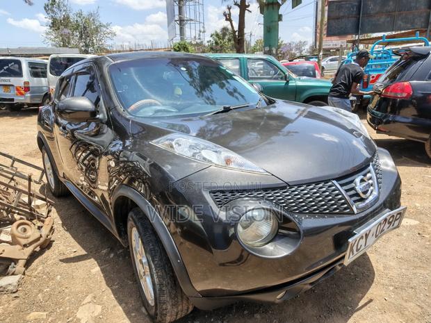Nissan Juke 2013 Gray