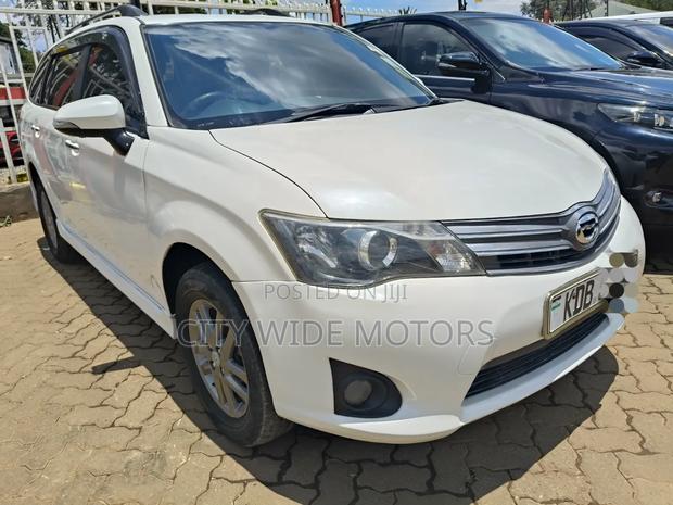 Toyota Corolla Fielder 2013 Pearl