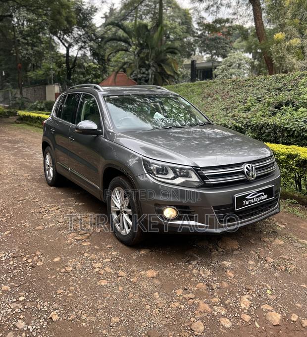 Volkswagen Tiguan 2014 Gray