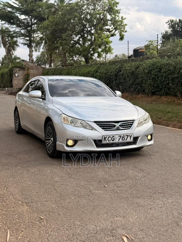 Toyota Mark X 2010 Silver