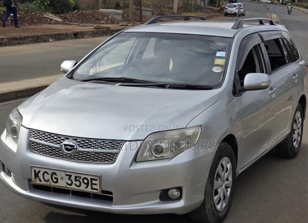 Toyota Corolla Fielder 2009 Brown