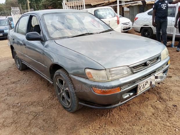 Toyota Corolla 2005 Gray