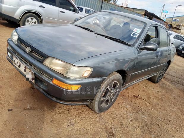 Toyota Corolla 2005 Gray