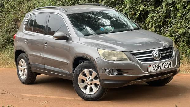 Volkswagen Tiguan 2009 Gold