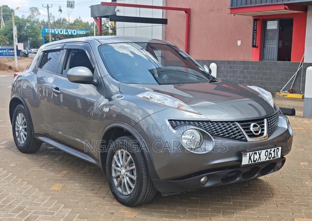Nissan Juke 2012 Gray