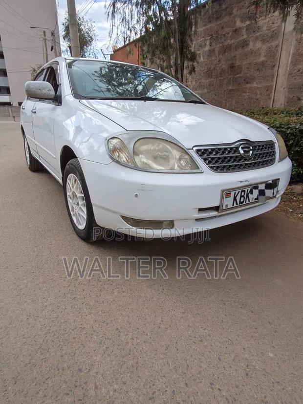 Toyota Corolla 2004 White