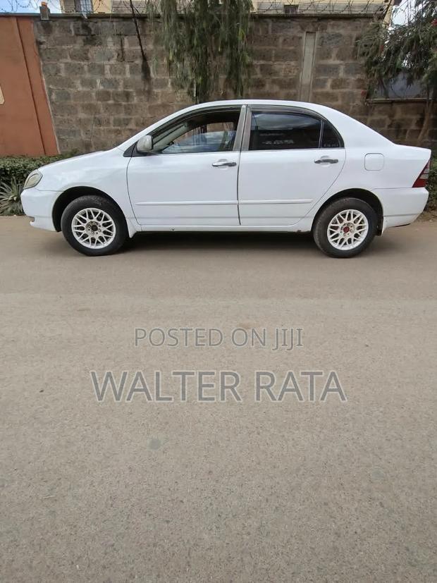 Toyota Corolla 2004 White