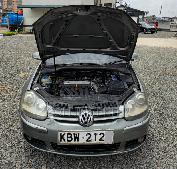 Volkswagen Golf GT 2.0 TDI 2006 Gray