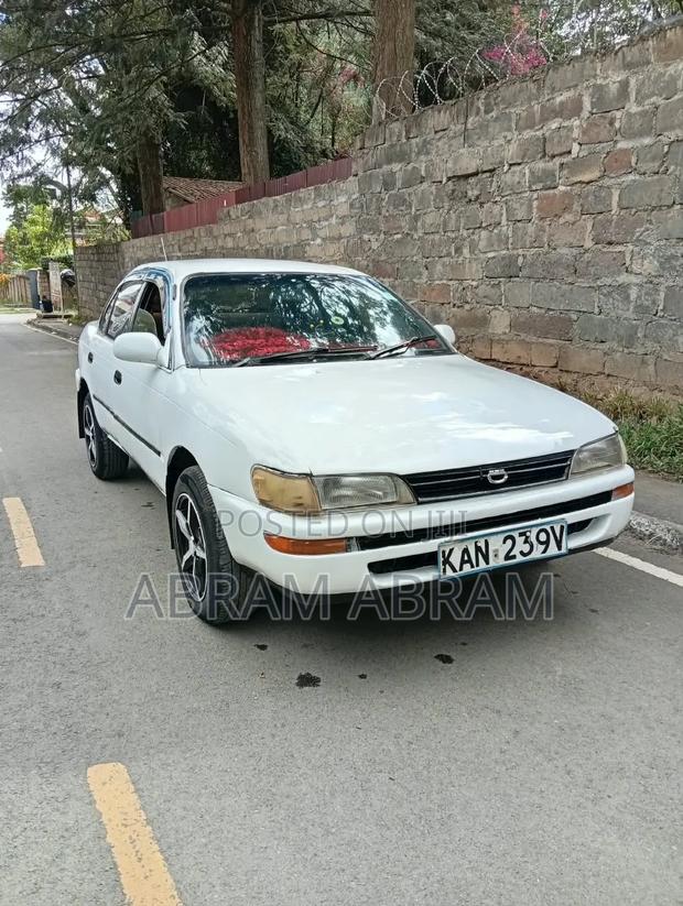 Toyota Corolla 2003 White