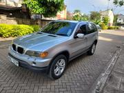 BMW X5 3.0d Automatic 2005 Gray for sale