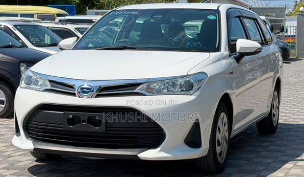 Toyota Corolla Fielder 2019 White