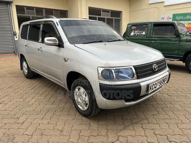 Toyota Probox 2010 Silver