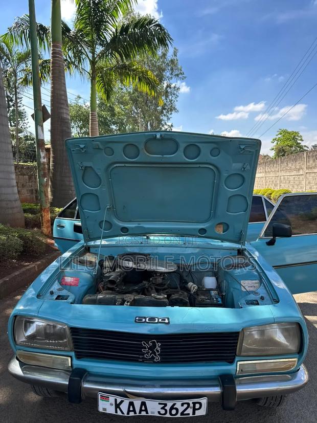 Peugeot 504 1990 Blue
