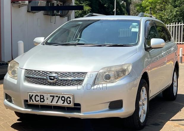 Toyota Corolla Fielder 2008 Silver