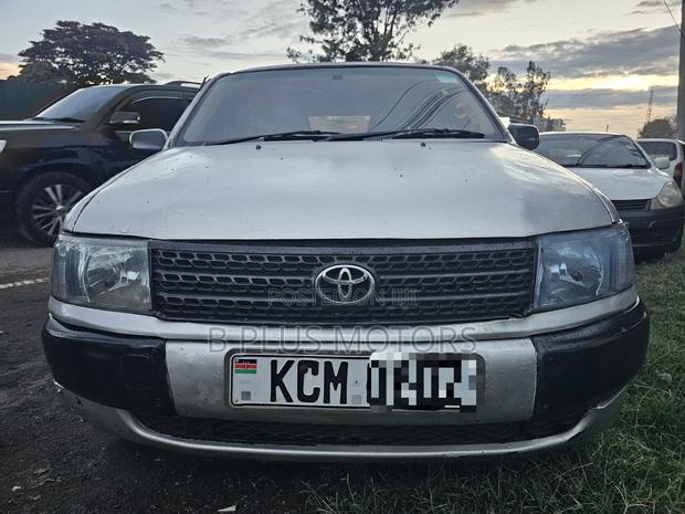 Toyota Probox 2010 Silver