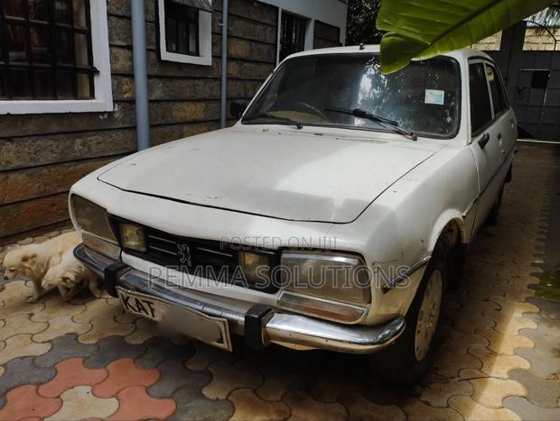 Peugeot 504 1989 White