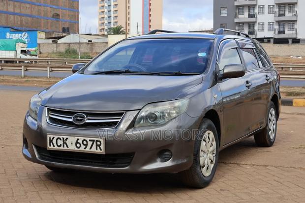 Toyota Corolla Fielder 2010 Gray