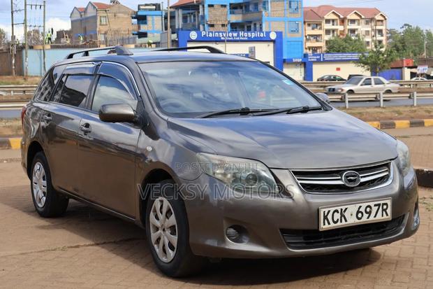 Toyota Corolla Fielder 2010 Gray